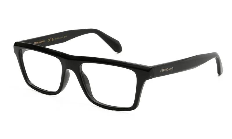 FERRAGAMO ΣΚΕΛΕΤΟΣ ΟΡΑΣΕΩΣ FERRAGAMO SF2988 001 5417 SF2988 Μαύρο