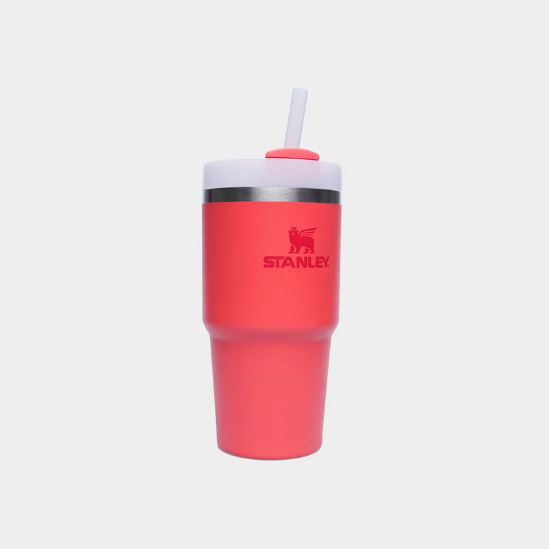 Stanley The Quencher H2.O FlowState™ Tumbler 20oz (9000257895_3074)