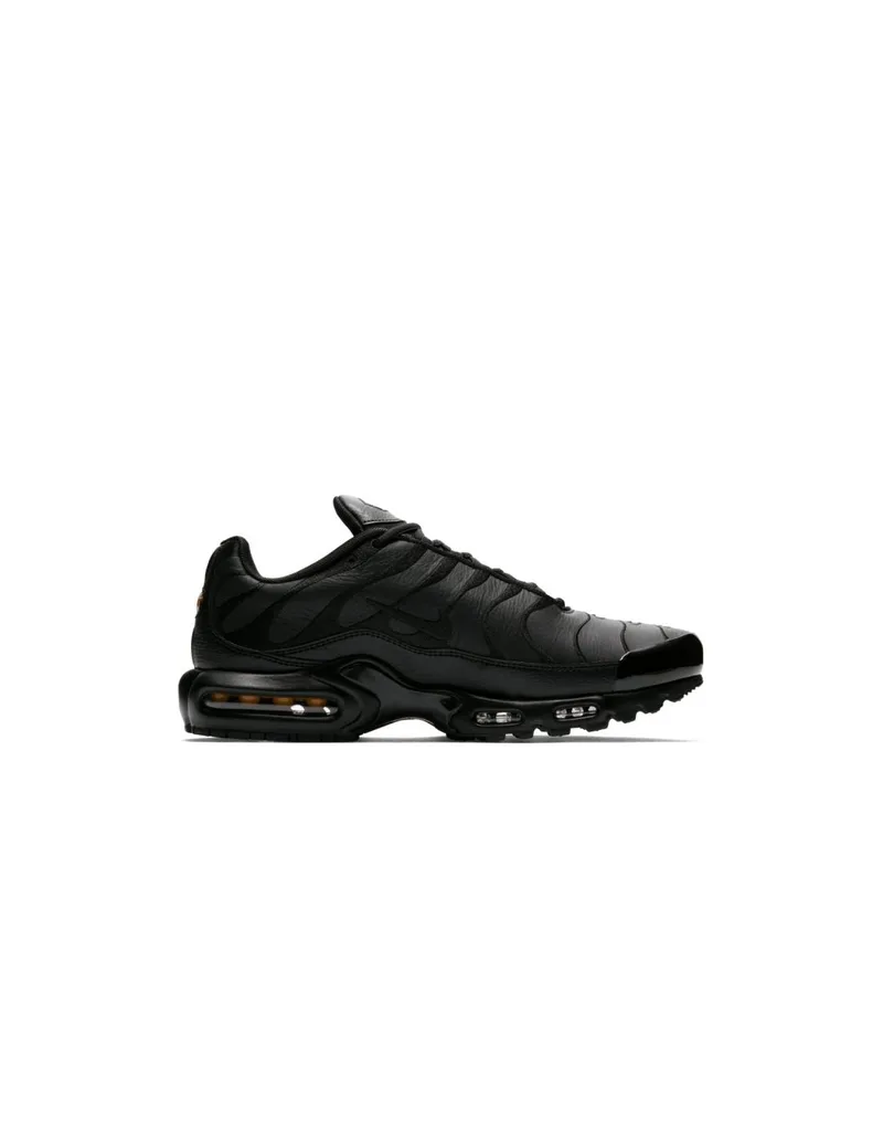 Nike Air Max Plus M AJ2029001 shoes