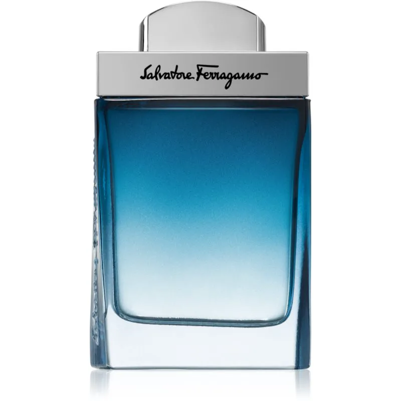 Ferragamo Subtil Pour Homme Eau de Toilette για άντρες 50 ml