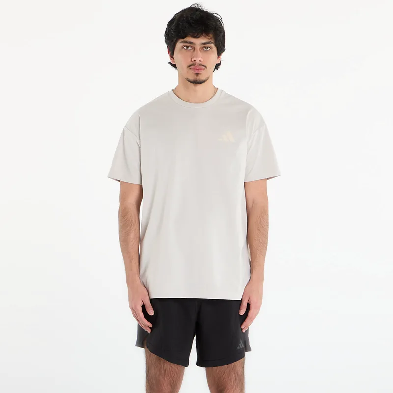 T-shirt adidas Terrex Xploric Climacool Graphic T-Shirt Wonder Alumina XL
