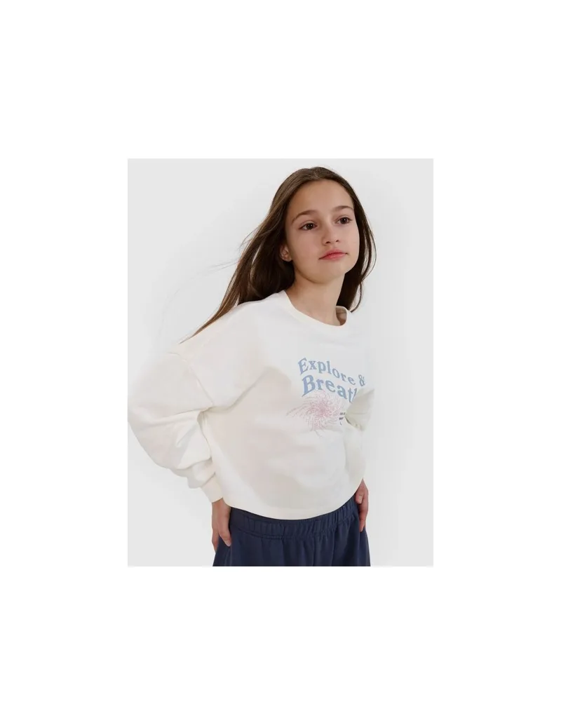 Girls' sweatshirt without a hood 4F 4FJWSS25TSWSF148311S