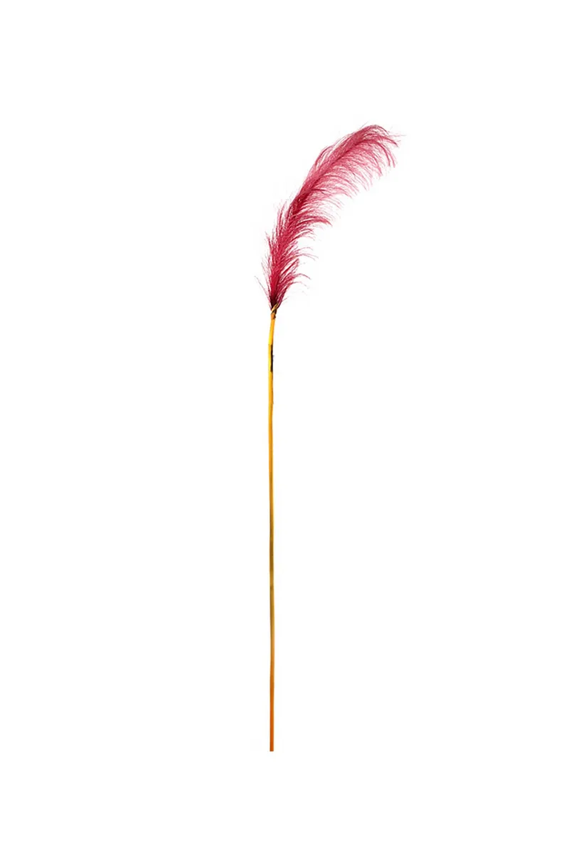 DOMUS HOMUS διακοσμητικό κλαδί παμπάς 148 cm - 20-99-598