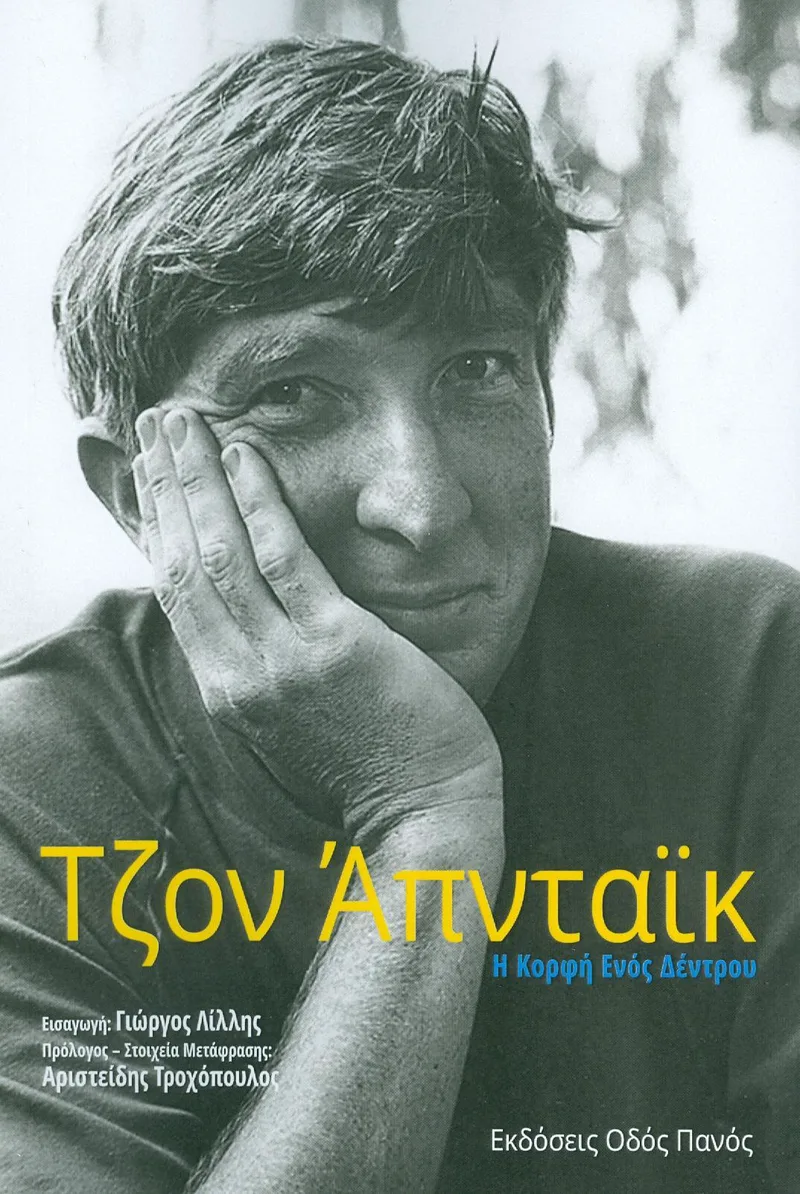 Η ΚΟΡΦΗ ΕΝΟΣ ΔΕΝΤΡΟΥ