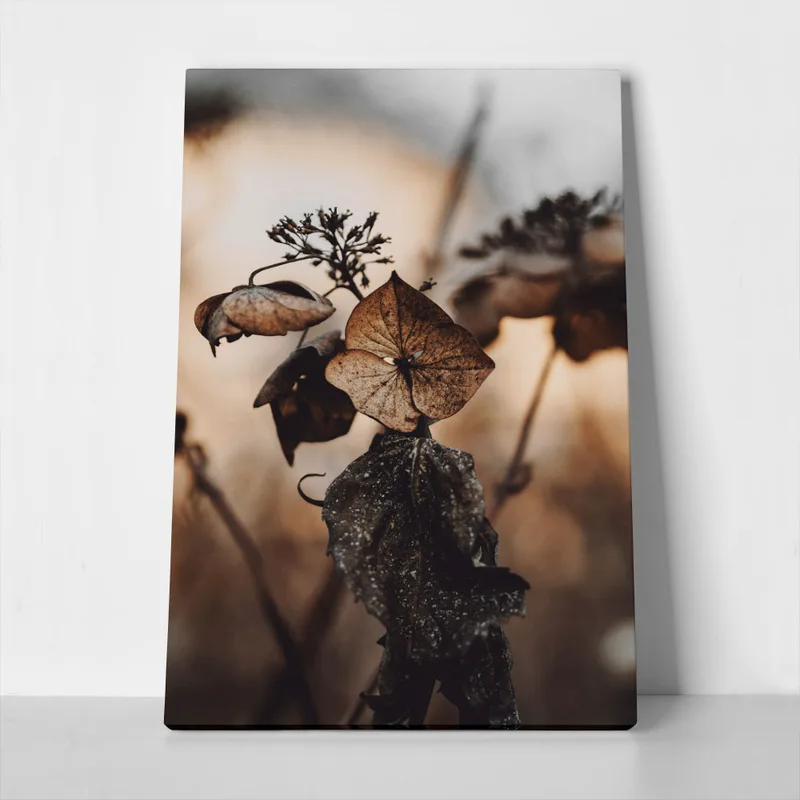 Πίνακας σε Καμβά RUSTIC FARMHOUSE DRIED LEAVES 5