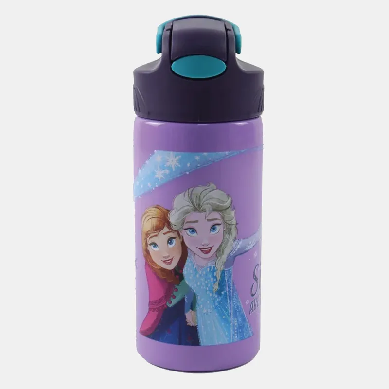 GIM Frozen Stainless Steel Μπουκάλι 500ml (9000291854_1523)