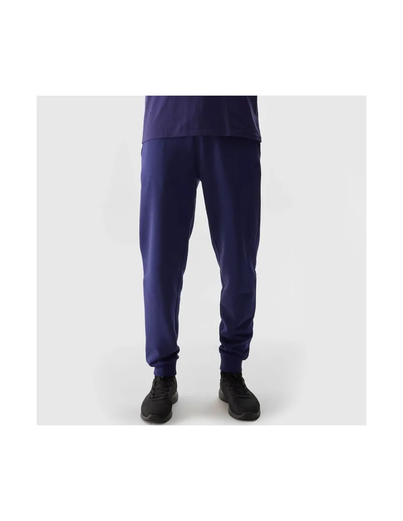 Trousers 4F 4FWSS24TTROM603 31S