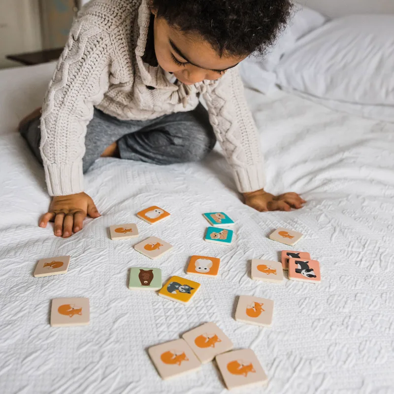 Ξύλινο Παιχνίδι Μνήμης Πορτοκαλί Tree Toys Woodland 60-25255