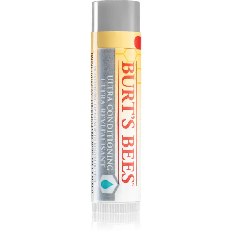 Burt’s Bees Lip Care βάλσαμο για ξηρά χείλη 4.25 γρ