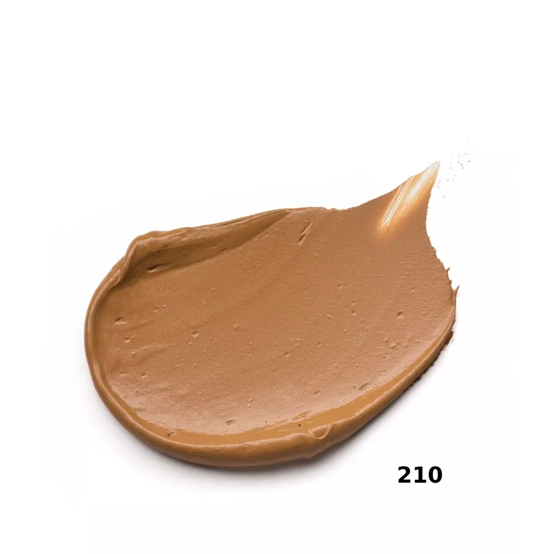Essence Foundation Stick 210