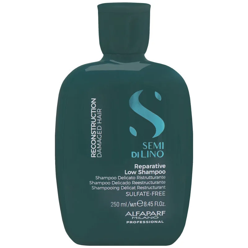 Alfaparf Reconstruction shampoo 250 ml