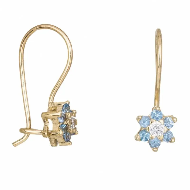 Γυναικεία χρυσά σκουλαρίκια Κ14 Aqua star 034206 034206 Χρυσός 14 Καράτια