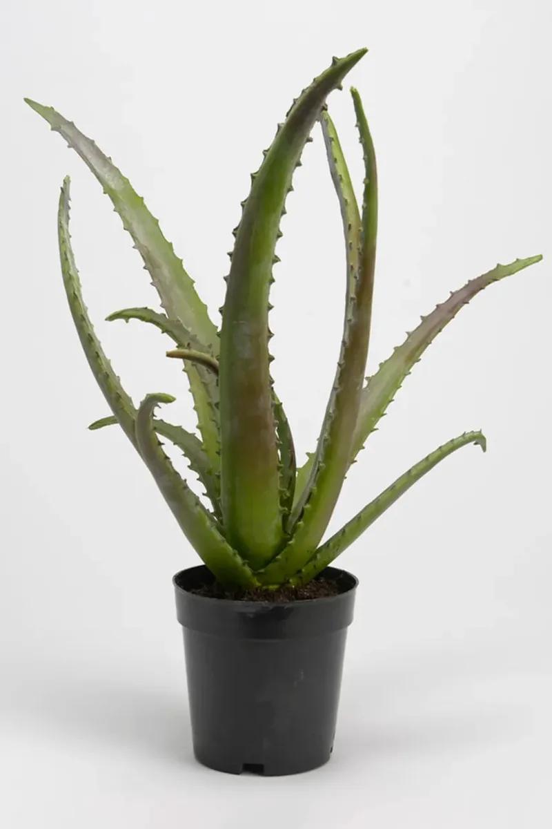 Τεχνητό φυτό σε γλάστρα home & lifestyle 48 cm