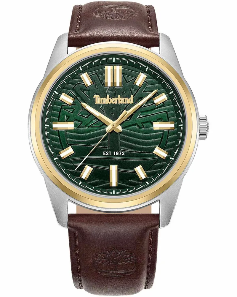 TIMBERLAND Nothbridge - TDWGB0041206, Silver case with Brown Leather Strap