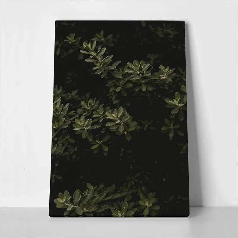 Πίνακας σε Καμβά RUSTIC FARMHOUSE LEAVES