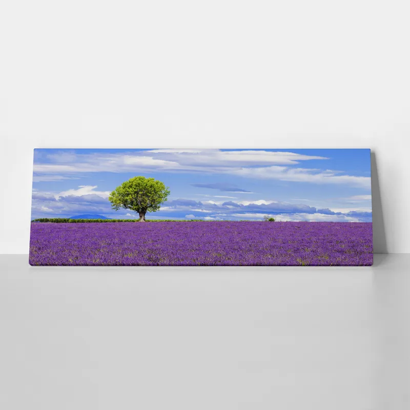 Πίνακας Πανοραμικός LAVENDER FIELD