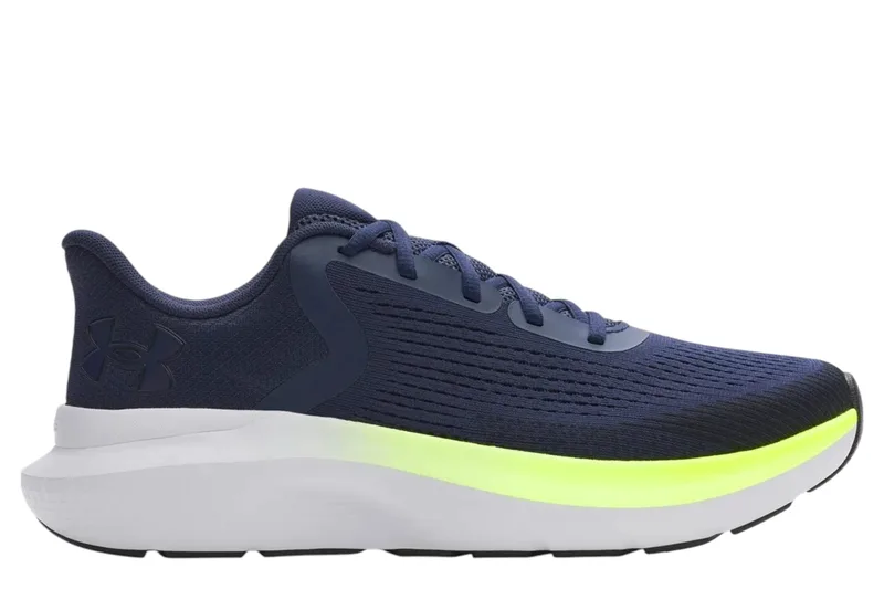 Παπούτσια Running Under Armour Low Charged Rogue 5 3028256-403 Ανδρικό