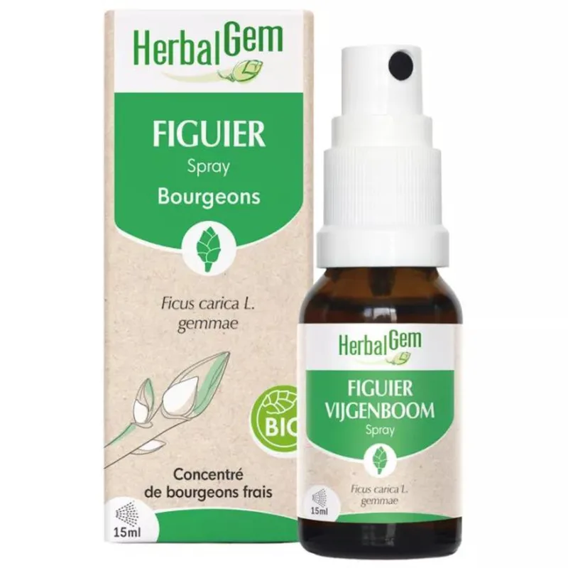 Herbalgem Organic Fig Spray Buds 15ml