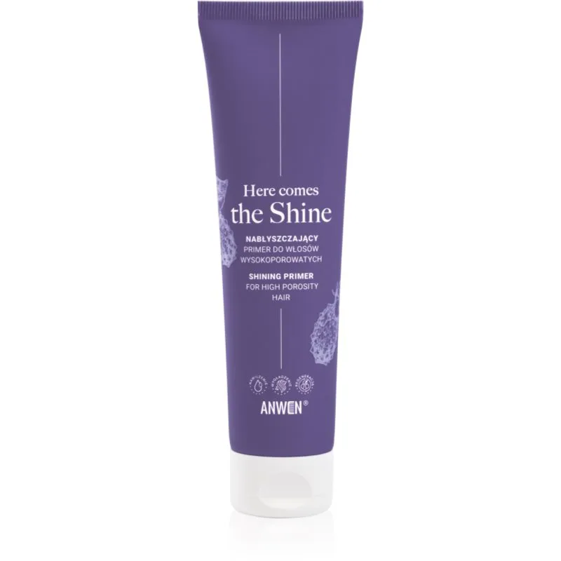 Anwen Here Comes The Shine Shining Primer For High Porosity Hair βάση για τα μαλλιά 100 ml