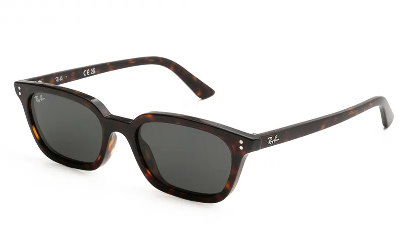 RAY BAN ΓΥΑΛΙΑ ΗΛΙΟΥ RAY BAN ZAYA 4456 135987 5319 4456 Ταρταρούγα