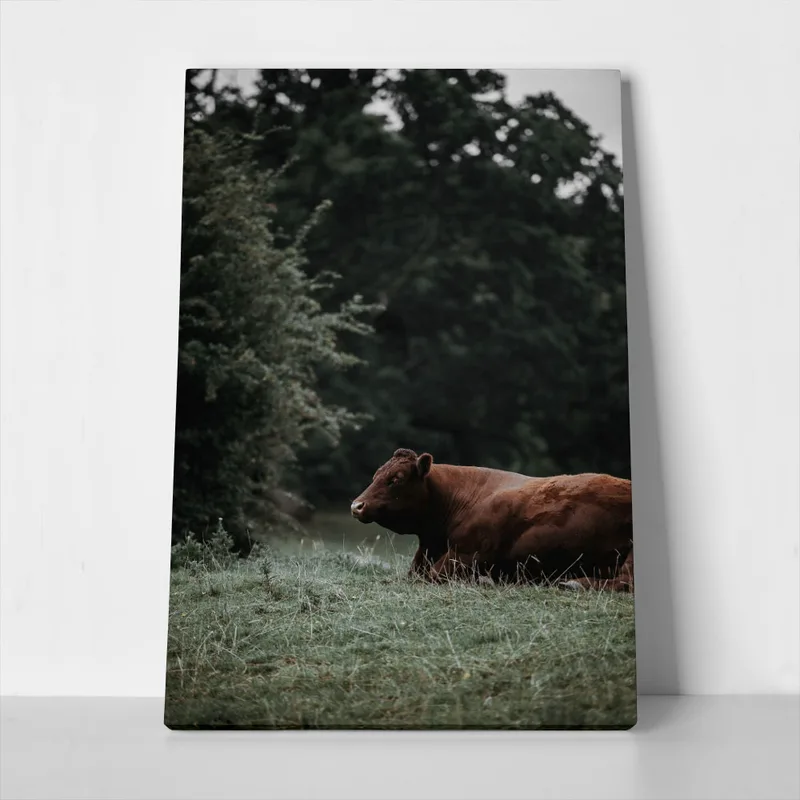 Πίνακας σε Καμβά RUSTIC FARMHOUSE COW 4