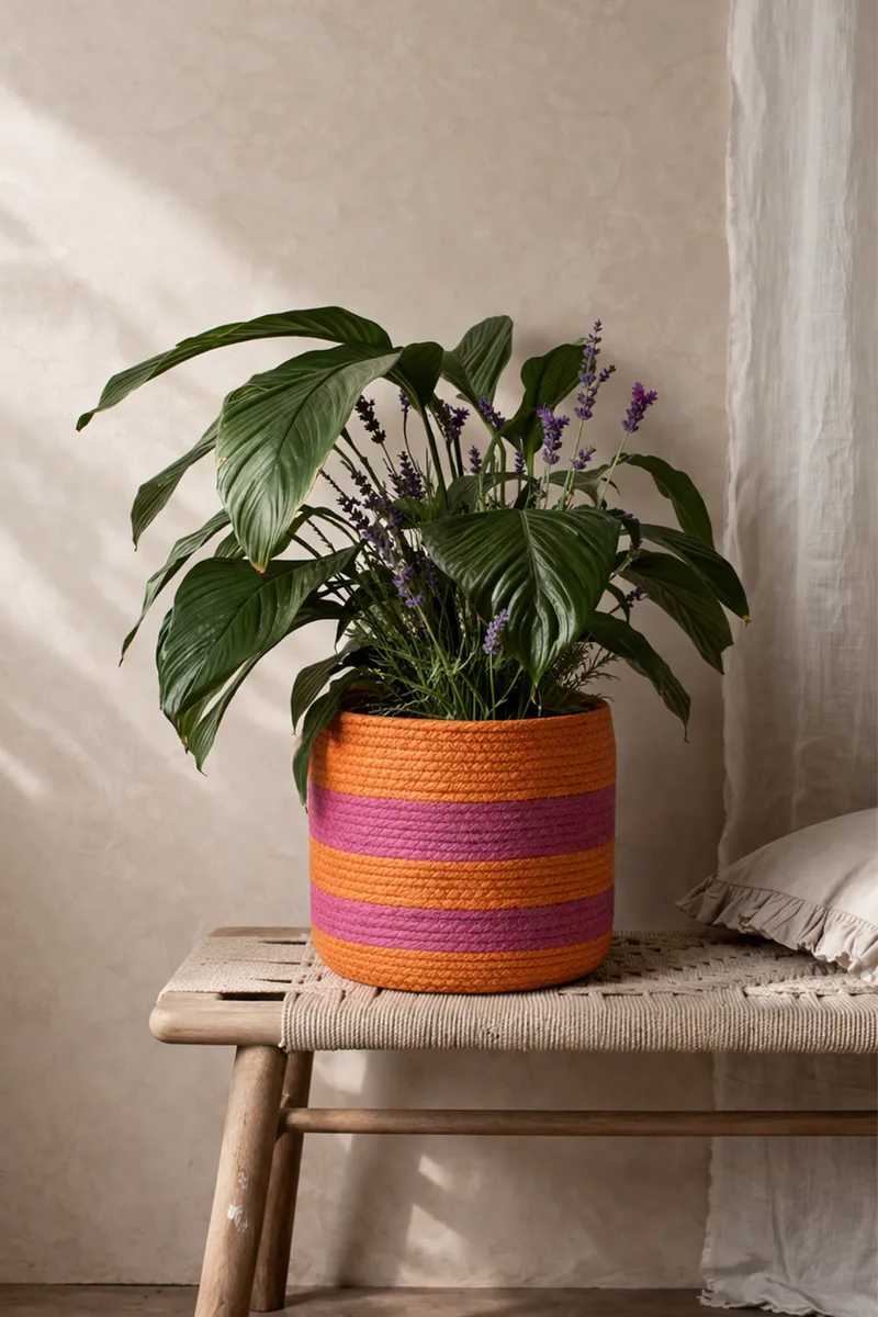 Κασπω Πορτοκαλι Με Ροζ Γραμμες 21Cm 21x21x21cm Μονόχρωμο Kaeming