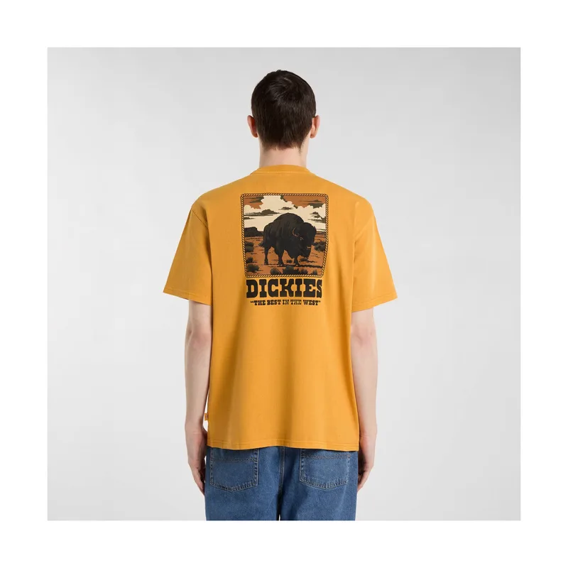 T-shirt με κοντά μανίκια Dickies Darrtown ss tee