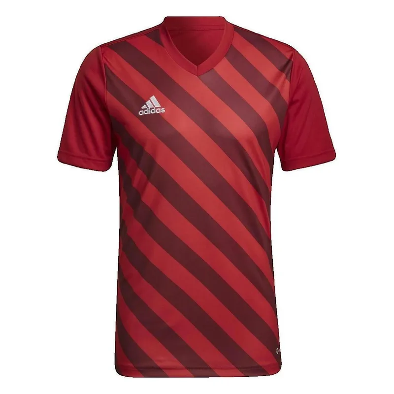 Μαγιό adidas Graphique Entrada 22