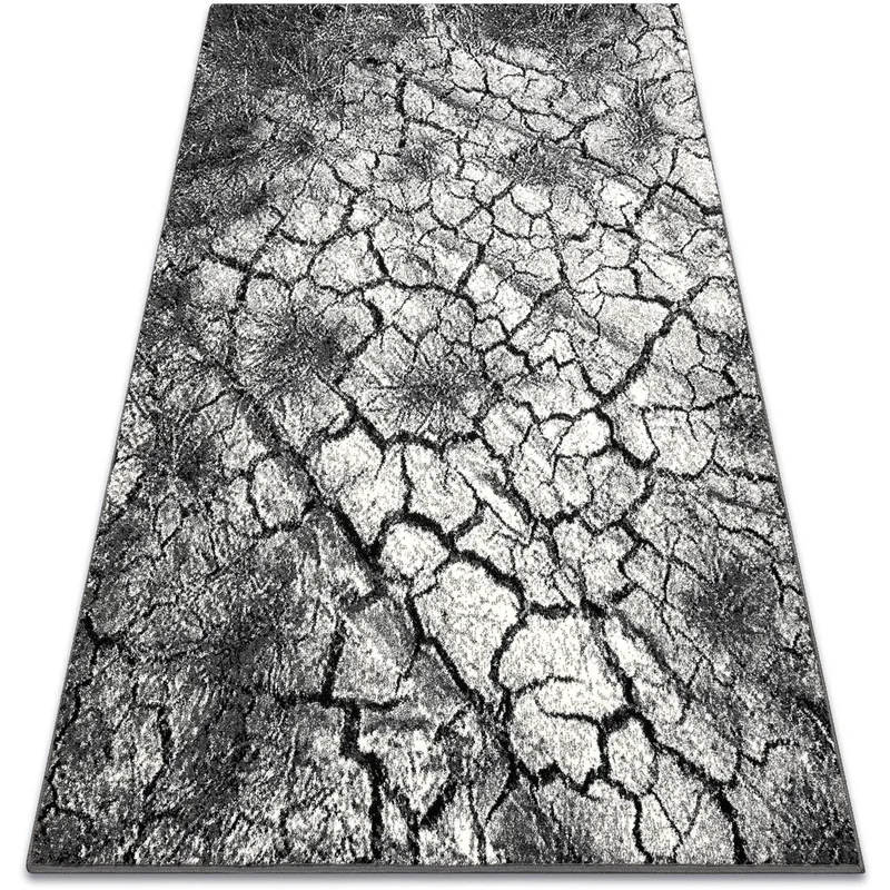 Χαλιά Rugsx Χαλί SILVER Terra ραγισμένο έδαφΠ160x220 cm