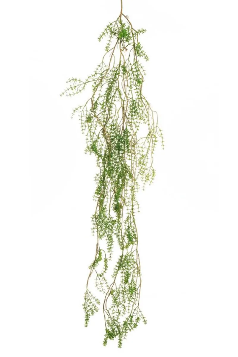 Φυτο Tea Leaf Κρεμαστο 180Cm 180x0x0cm Μονόχρωμο Evergreens