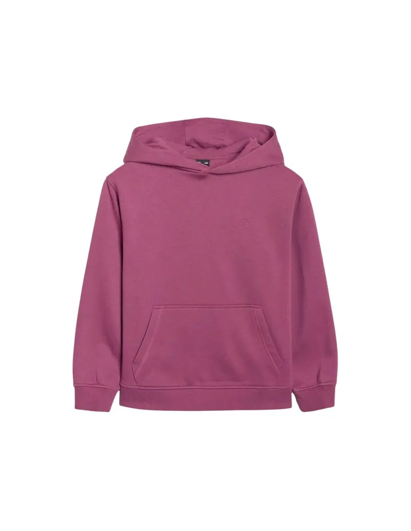 4F F1953 Jr sweatshirt 4FJWAW25TSWSF1953 50S