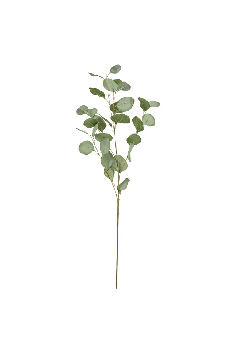 DOMUS HOMUS διακοσμητικό κλαδί ευκάλυπτος 90 cm - 20-32-098