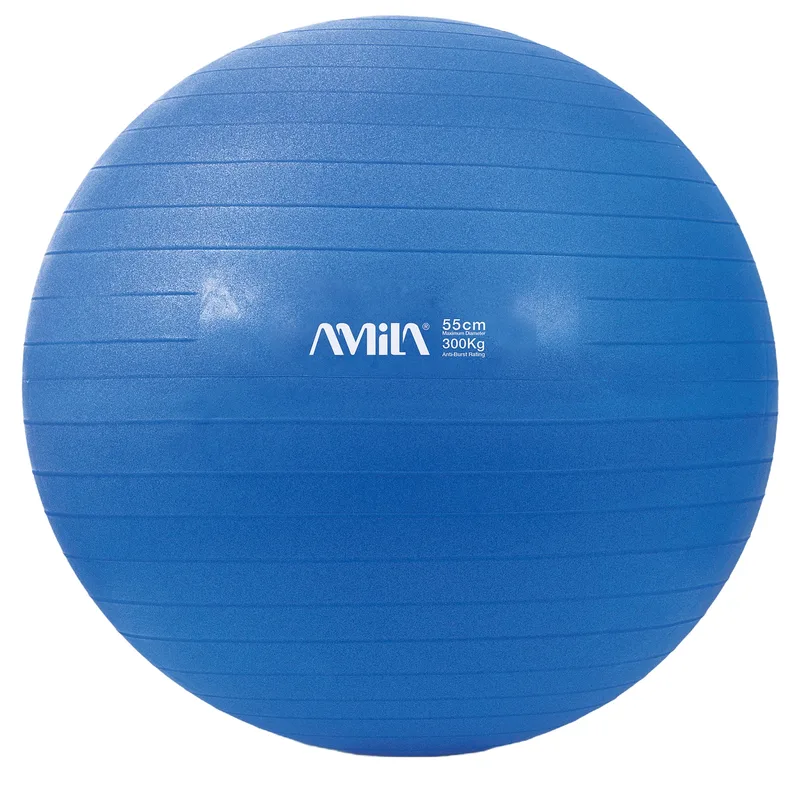 Μπάλα Γυμναστικής (Bulk) 55cm Μπλε