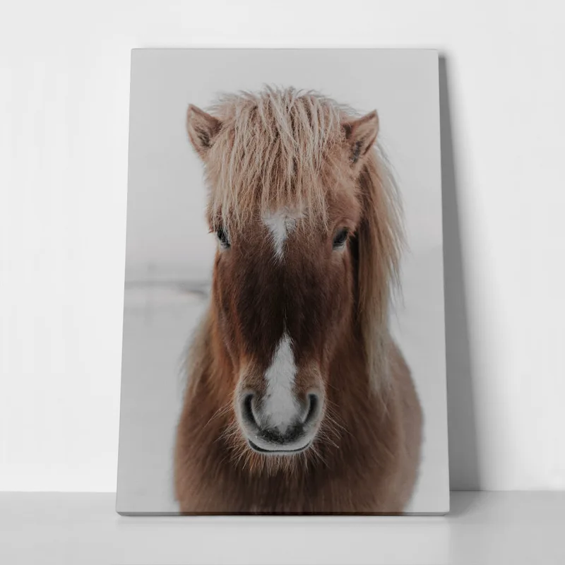Πίνακας σε Καμβά RUSTIC FARMHOUSE HORSE 8