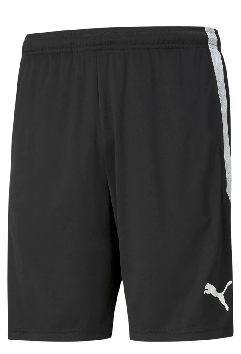 Σορτς Puma Team Liga 657249-03 Ανδρικό