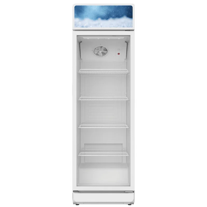 Ψυγείο Βιτρίνα SC300WH, Λευκό, Υ193xΠ60xΒ57cm, 300lt, Crown