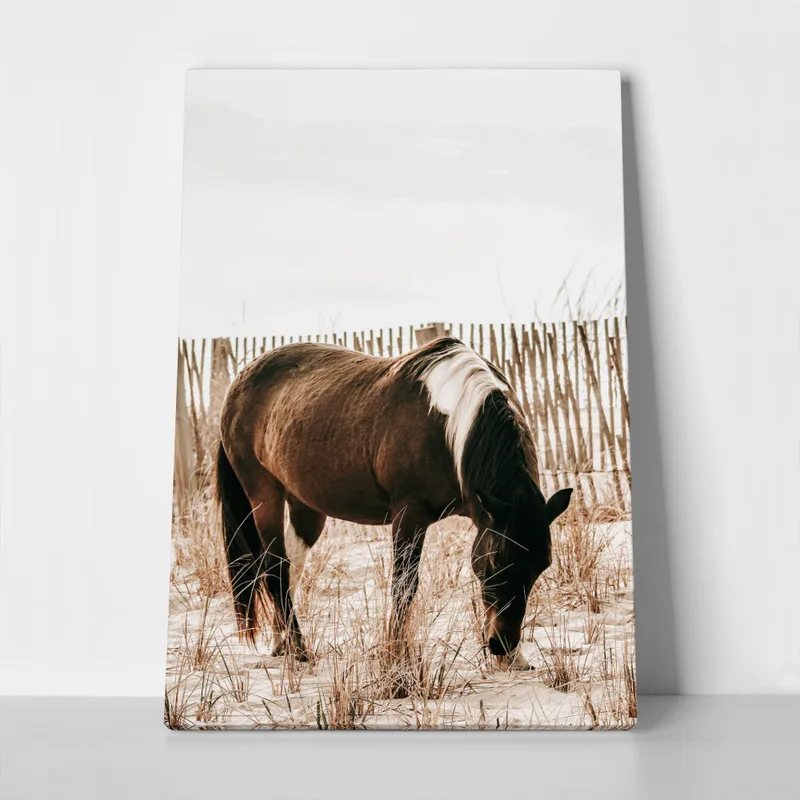 Πίνακας σε Καμβά RUSTIC FARMHOUSE HORSE 15
