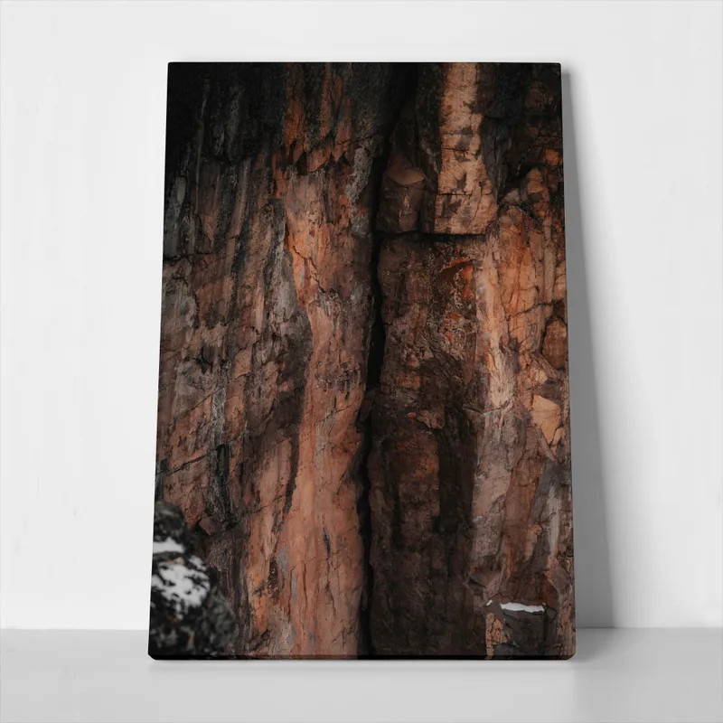 Πίνακας σε Καμβά RUSTIC FARMHOUSE TREE BARK 3