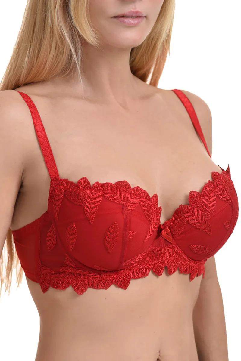 Miss Rosy σουτιέν με ελαφρία ενίσχυση και μπανέλα ( D Cup ) - D474