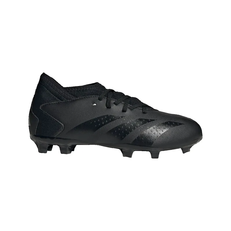 Ποδοσφαίρου adidas Predator Accuracy.3 Terrain Souple