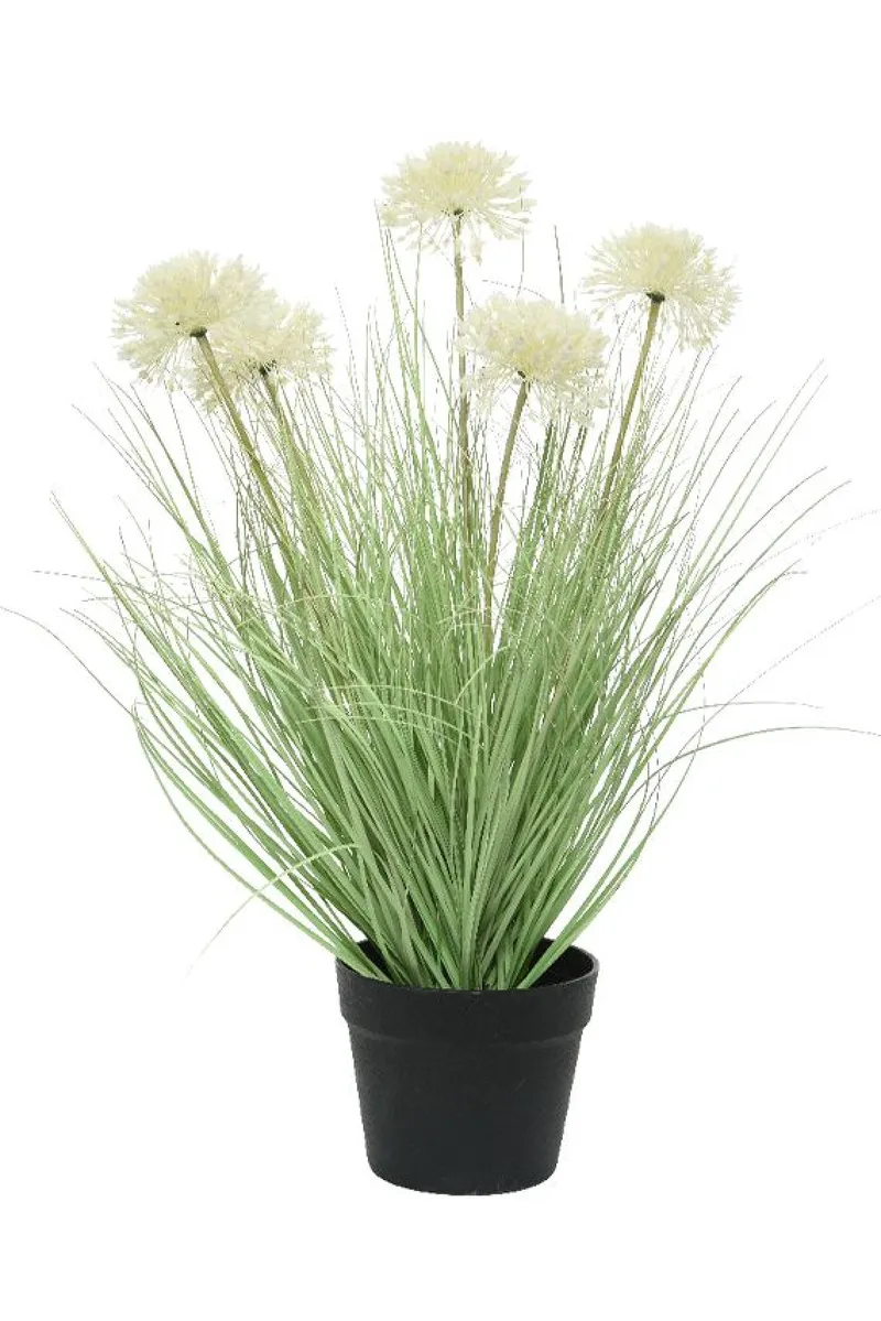 Γρασιδι Allium Με 5 Λευκα Ανθη Σε Γλαστρα 45x45x62cm Μονόχρωμο Kaeming
