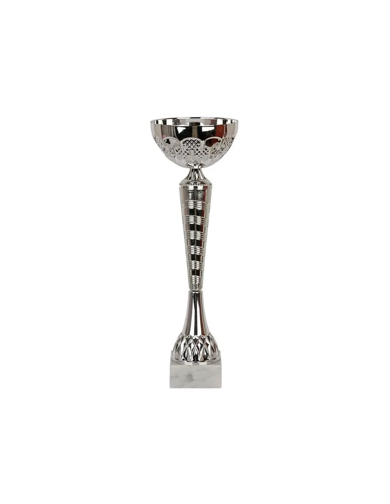 W2172 Triumph Cup