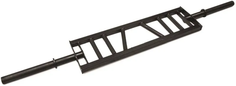 ΟΛΥΜΠΙΑΚΗ ΜΠΑΡΑ ΠΟΛΛΑΠΛΩΝ ΛΑΒΩΝ PEGASUS B-5025 SWISS BAR Φ50 (120 CM)