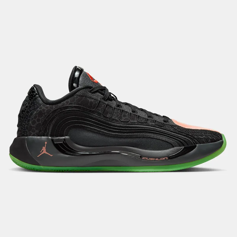 Jordan Luka 4 "Safari" Ανδρικά Μπασκετικά Παπούτσια (9000231955_86037)