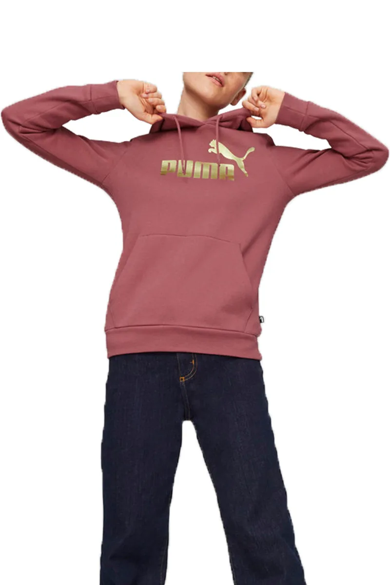 Μπλούζα Μακρυμάνικη Puma Metallic Logo Hoodie FL 849958-45 Γυναικείο