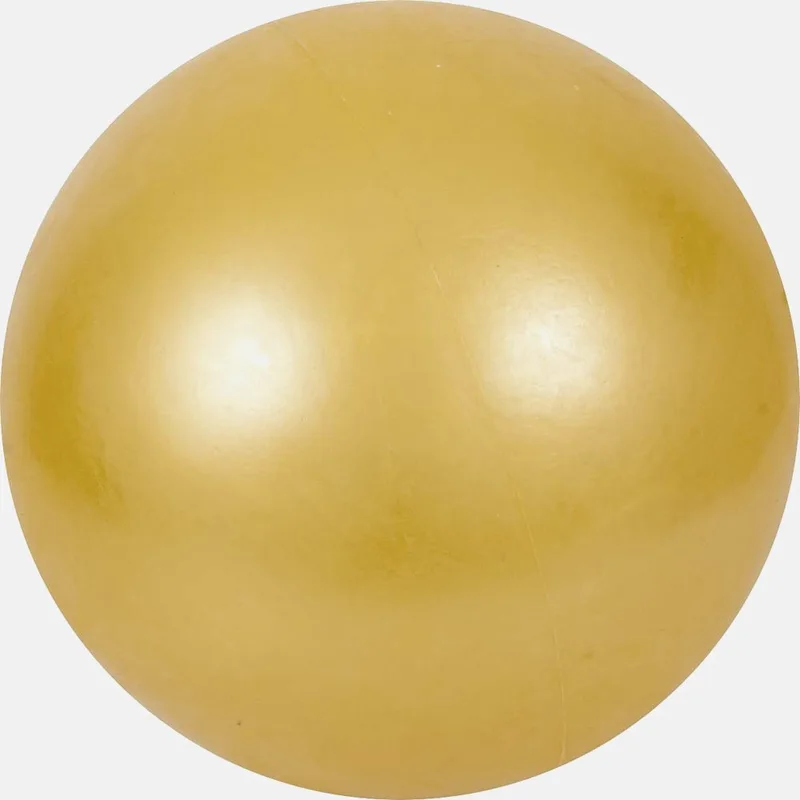 Amila Μπάλα Ρυθμικής Γυμναστικής, 19cm, Fig Appro (9000043091_33392)