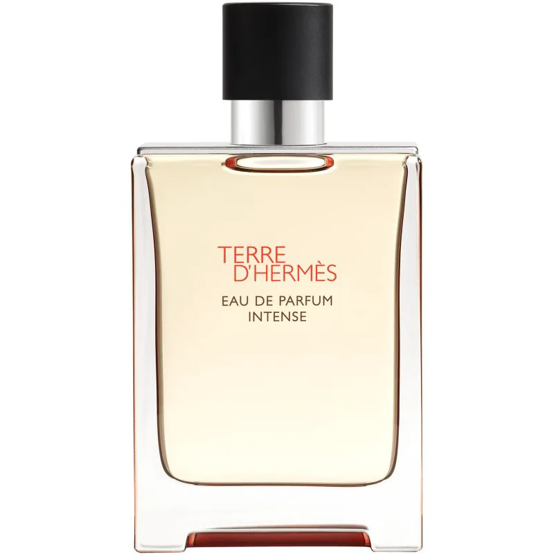 HERMÈS Terre d’Hermès Eau de Parfum Intense έντονο Eau de Parfum για άντρες 100 ml