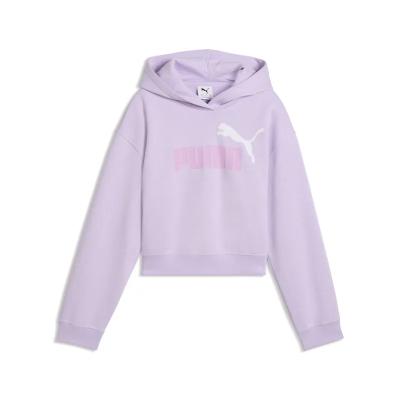 Puma Kids ESS 2 Color No.1 Logo Short Lenght Hoodie FL G (690717-46)