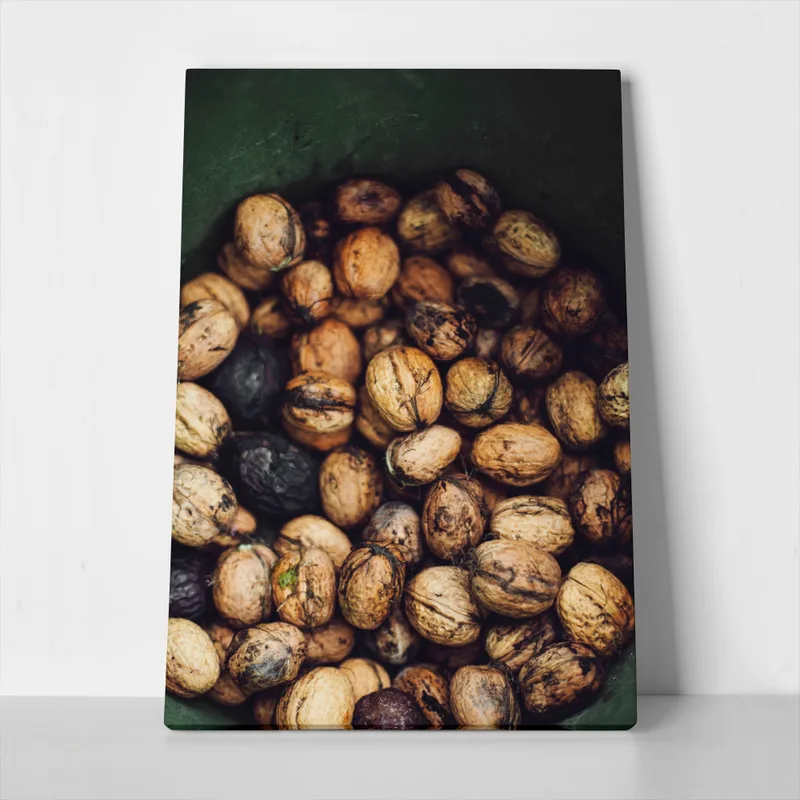 Πίνακας σε Καμβά RUSTIC FARMHOUSE WALNUTS