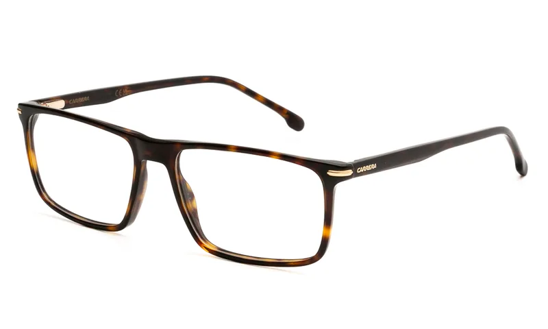 CARRERA ΣΚΕΛΕΤΟΣ ΟΡΑΣΕΩΣ CARRERA CARRERA 347 LVL 5516 CARRERA 347 Ταρταρούγα